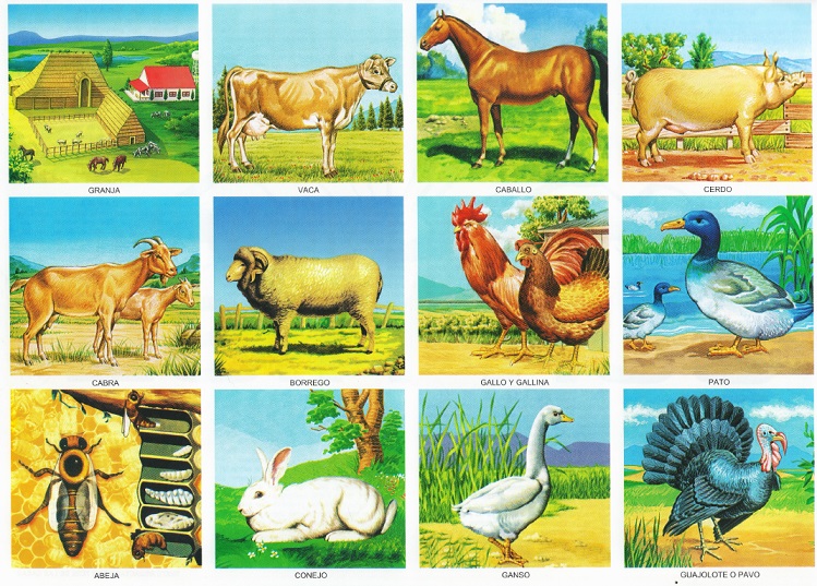 animales de la granja