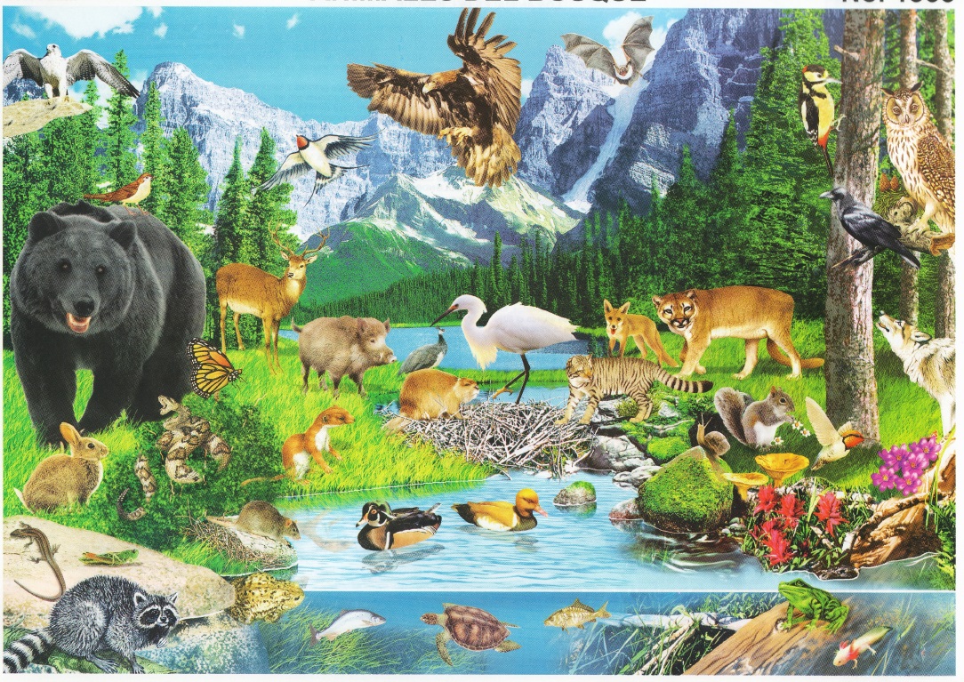 animales del bosque