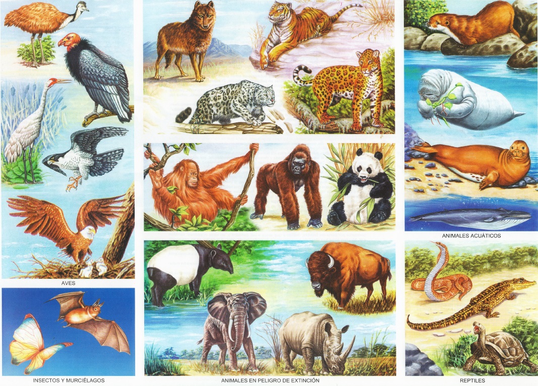 animales en peligro